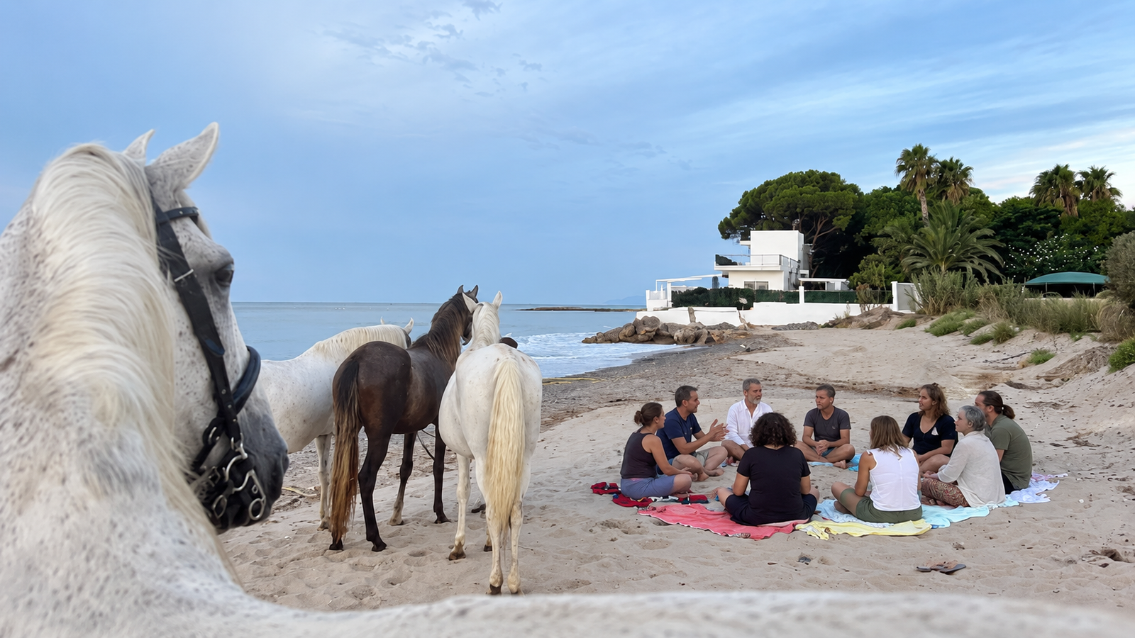 Caballos y grupo de personas reunidas en la playa durante una experiencia de equipo